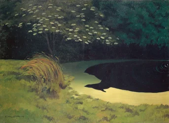 The Pond