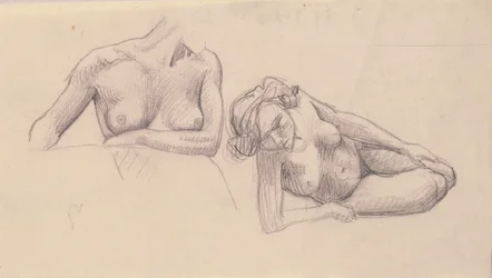 Two Studies of Female Nudes