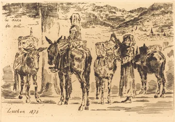Leaves of Donkeys from the South