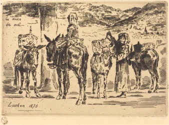 Sheet of Donkeys from the South