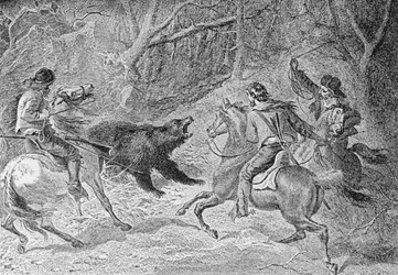 Roping a Grizzly, illustration from 