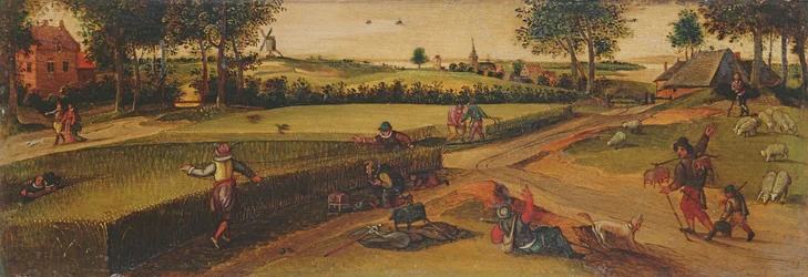 The Harvest