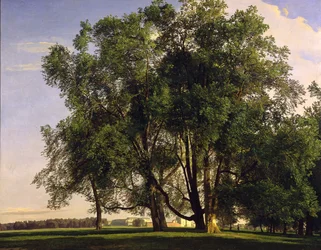 Prater Landscape
