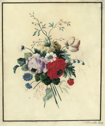 Roses, Tulips, Daisies