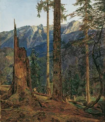 The Höllengebirge near Ischl