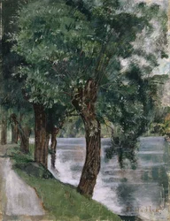 Willow Trees at the Rhone