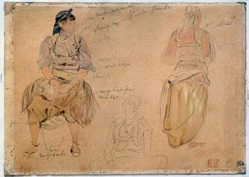 Studies of Arab Women