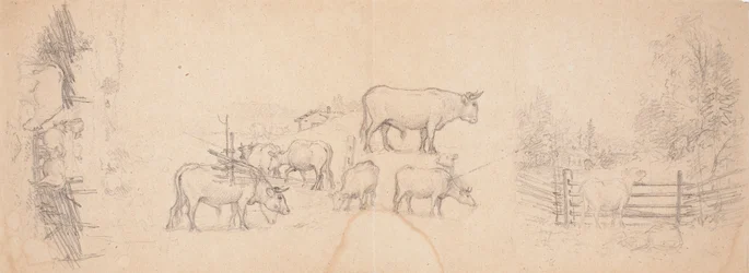 Various Sketches of Cows and Bulls