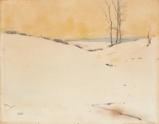 In the Snow