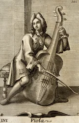 Man playing the viola