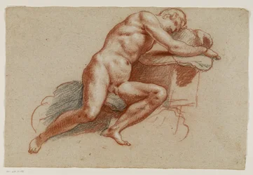 Propped-up Male Nude Leaning on a Cushion