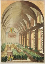 Citrus Trees in a Hothouse, from 