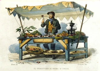 Small metier of the city of Naples: the seller of prickly pegs. Engraving after a painting by F. Palizza. From a work by Francesco de Bourcard 