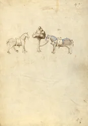 Two Horses