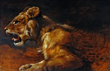 A Study of a Young Lion, School of Antwerp, c.1640