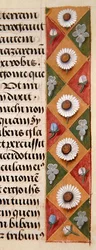 Detail of a Floral Border from a Book of Hours, c.1500