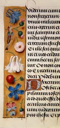 Detail of a floral border from a Book of Hours