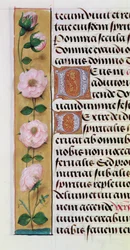 Ms. 1058-1975, f.34v: (detail)