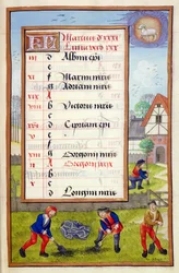 Digging and Tree Planting, illuminated calendar page for March, from a Book of Hours, c.1500
