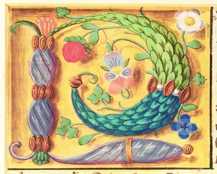Illuminated letter `P decorated with flowers, from a Book of Hours