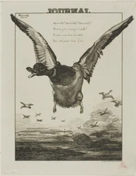 The Duck