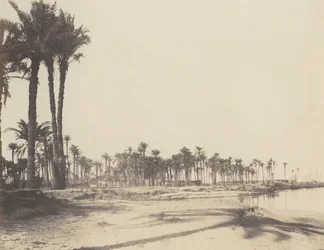 El-Nâcerah, Dattiers, Banks of the Nile and Boats, 1851-52, printed 1853-54