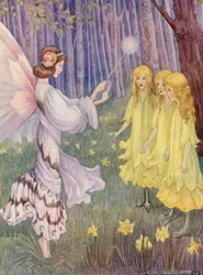 In the Daffodils