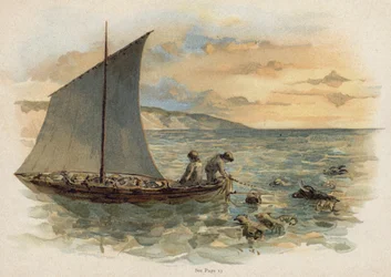 Scene from The Swiss Family Robinson: Bringing the Animals from the Wreck