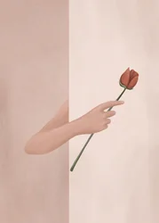 Hand Holding Rose