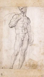 A Nude holding a Cape over his Shoulders