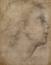 Head of an Angel in Profile Looking Up to the Right