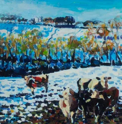 Cows in Snow, 2024