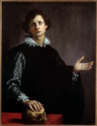 Portrait of a Young Man