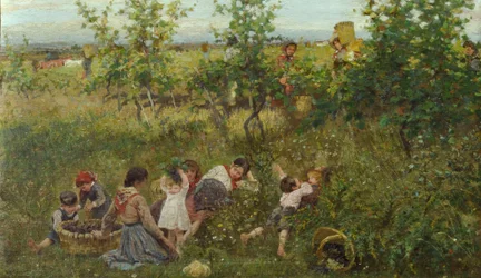The Grape Harvest