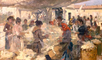 The wool seller
