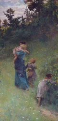 Wildflowers