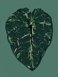 Deep Green Botanica