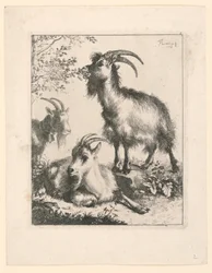Three Goats