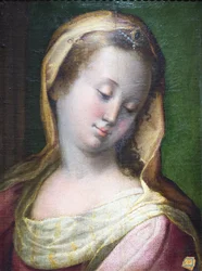 Head of Madonna