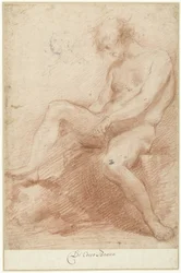 Study of a Male Nude Model