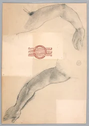 Studies of Arms