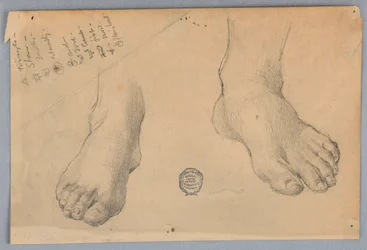 Study of Feet