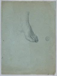 Study of Left Foot