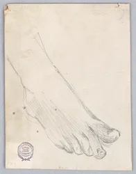 Study of Right Foot