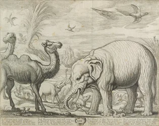 Africa
