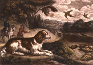 Hunting Scene