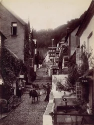 Clovelly, The New Inn and Street, 1870s