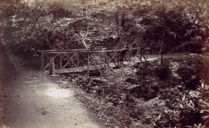 Colwyn Bay. Rustic Bridge in the Wood