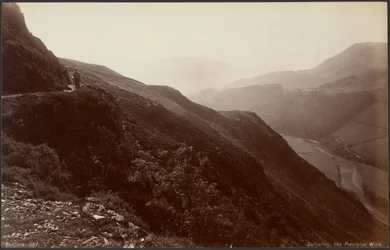 Dolgelley, the Precipice Walk