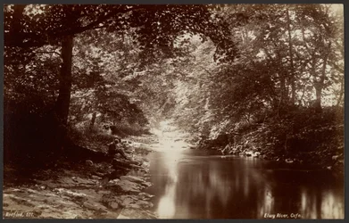 Elwy River, Cefn